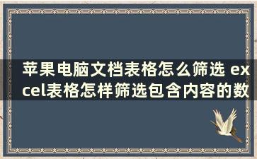 苹果电脑文档表格怎么筛选 excel表格怎样筛选包含内容的数量